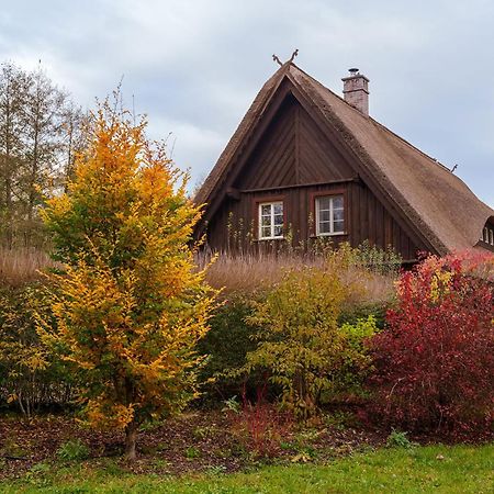 Willa Exklusives Holzhaus Burg  Zewnętrze zdjęcie