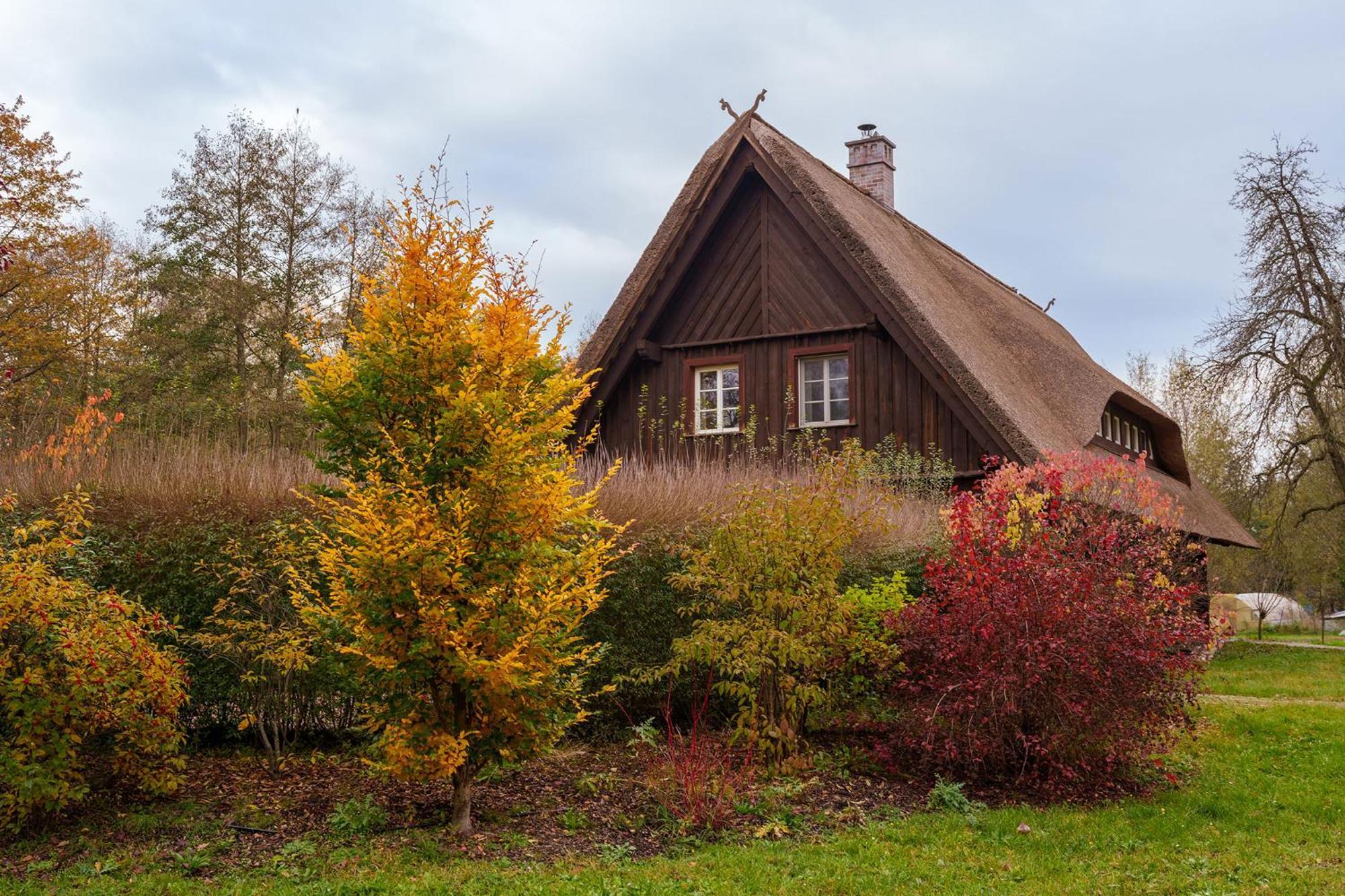 Willa Exklusives Holzhaus Burg  Zewnętrze zdjęcie